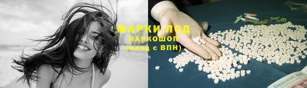стафф Арсеньев