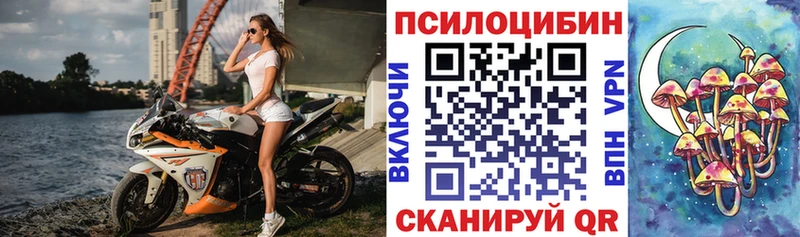 Купить  Старая Купавна  Псилоцибиновые грибы ЛСД 